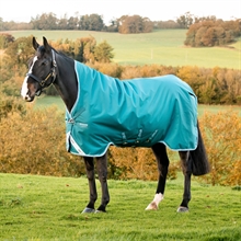 Amigo Bravo 12 Wug medium Winterdecke 250 Gramm